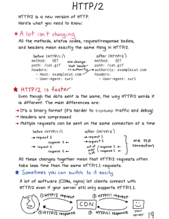 photo/07d76845-5cfd-440c-9030-566cf4dd3d61-3