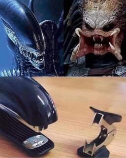 photo/3b388a05-7ef4-4f02-9a1d-9c127c450ff3-3