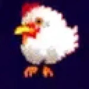 chicken