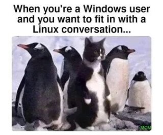 photo/7e288d55-bf00-4795-871f-6f700f904c23-3