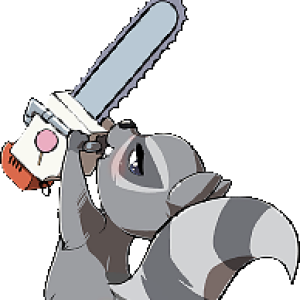Raccoon🏳️‍🌈